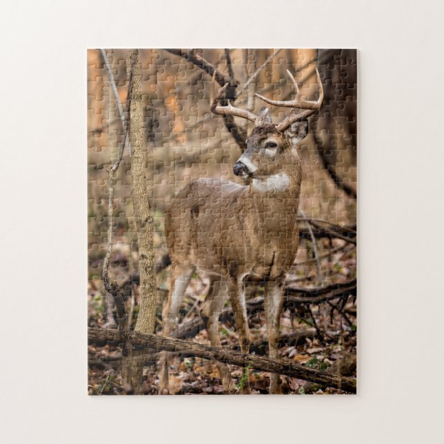 White Schwanz Deer Buck Puzzle (Vertikal)