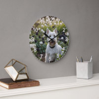 White Scottish Terrier mit Schwarz-weißen Rose,