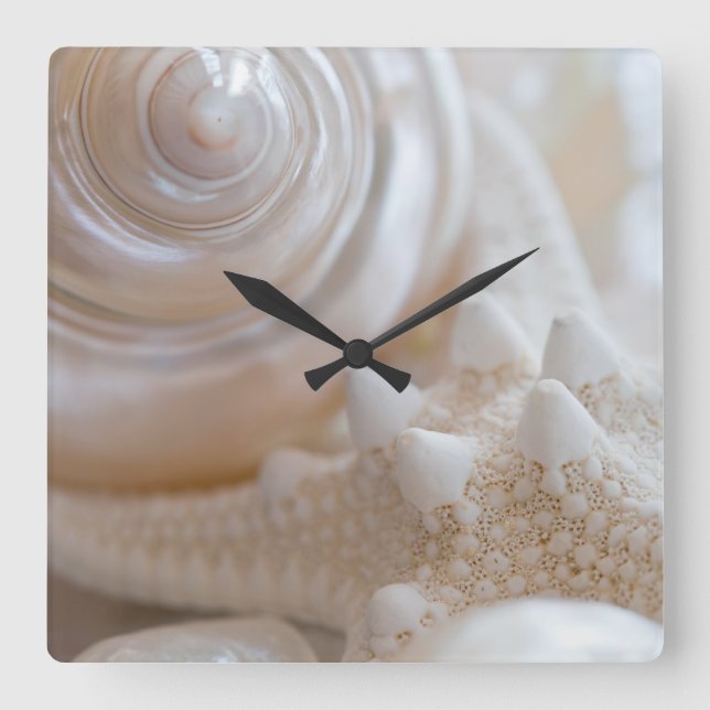 White Seashells Starfish Tropical Beach Muscheln Quadratische Wanduhr (Vorderseite)
