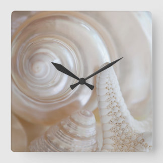 White Seashells Starfish Tropical Beach Muscheln Quadratische Wanduhr