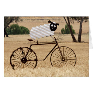 White Sheep Thrills