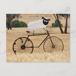 White Sheep Thrills Postkarte