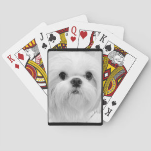 White Shih Tzu Spielkarten