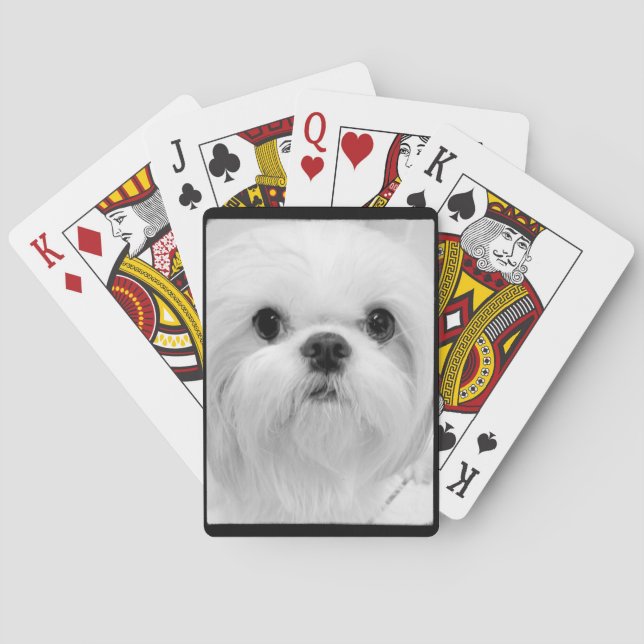 White Shih Tzu Spielkarten (Rückseite)