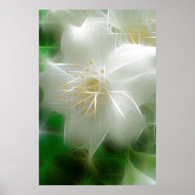 White Shiny Jasmine Poster (Vorne)
