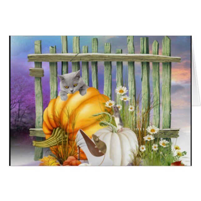 White Shoe Lost im Pumpkin Patch (Vorderseite (Horizontal))