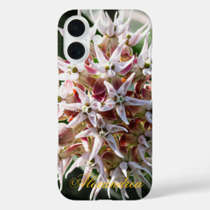 White Showy Milkweed - Naturfotografie iPhone 16 Hülle