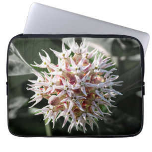 White Showy Milkweed, Wildblume Fotografie Laptopschutzhülle