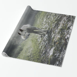 White Siberian Husky Geschenkpapier