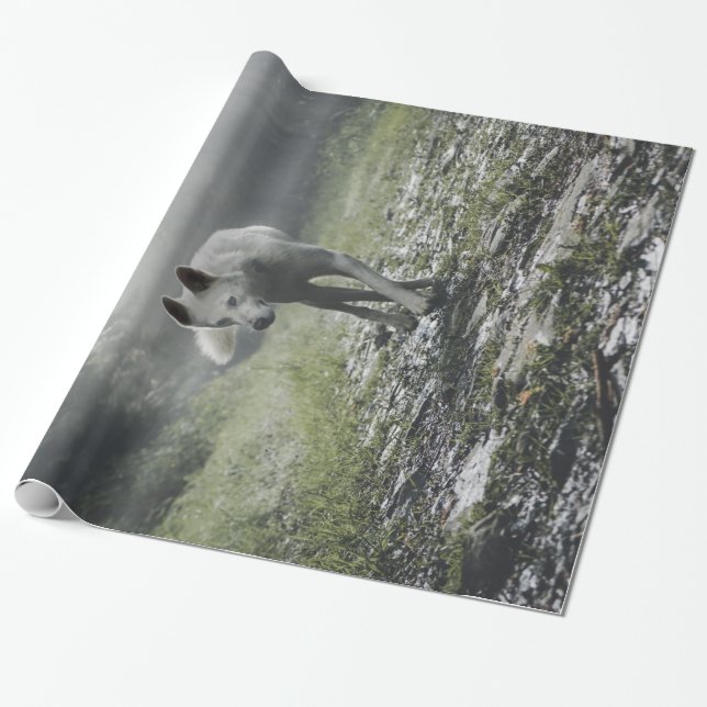 White Siberian Husky Geschenkpapier (Ungerollt)