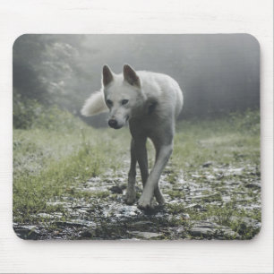 White Siberian Husky Mousepad