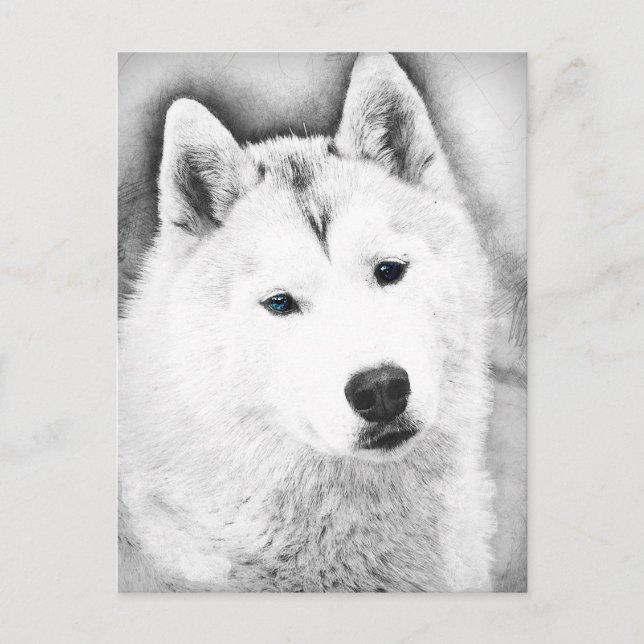 White Siberian Husky w/Blue Eyes Frische Kunst, Di Postkarte (Vorderseite)