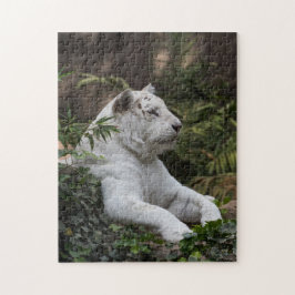 White Siberian Tiger Puzzle