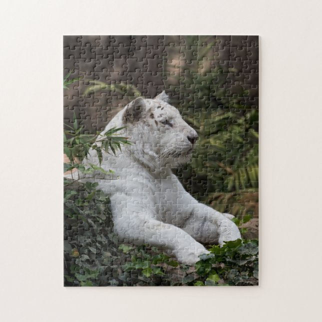 White Siberian Tiger Puzzle (Vertikal)