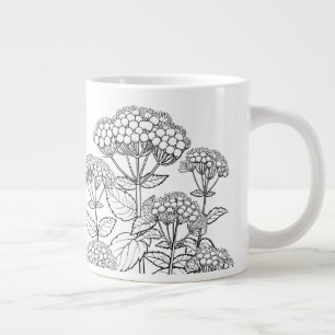 White Snakeroot - Ageratina altissima - Native Jumbo-Tasse