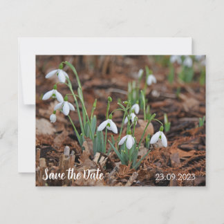 White Snow Drop Celebration Save the Date Feiertagskarte