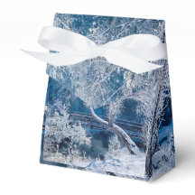 White Snow Winter Wedding Favor Box