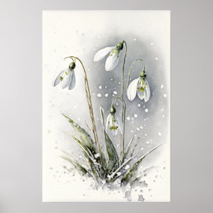 White Snowdrop Blume Art Print Poster