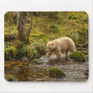 White Spirit Bear jagt Fische auf Riordan Creek Mousepad