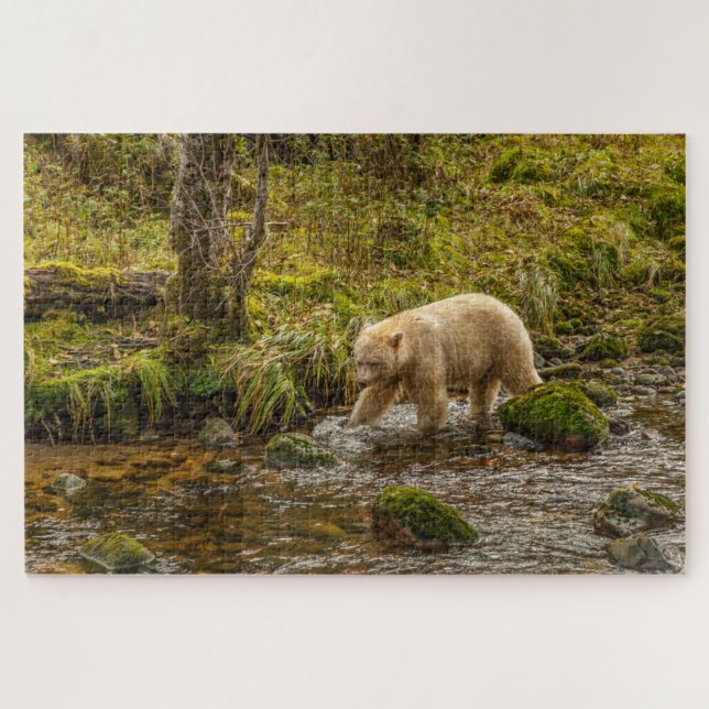 White Spirit Bear jagt Fische auf Riordan Creek Puzzle (Horizontal)