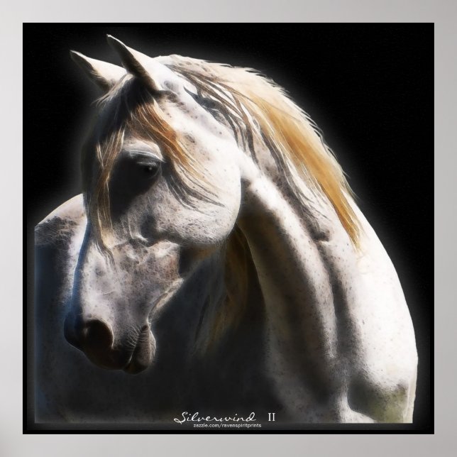 White Spirit Stallion Equine Art Poster (Vorne)