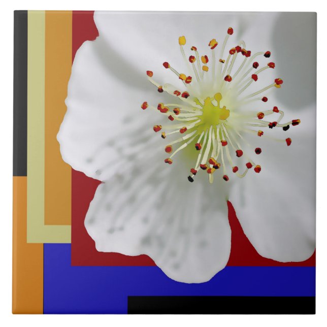 White Spring Blossom Fine Art Colorful Geometrie Fliese (Vorderseite)