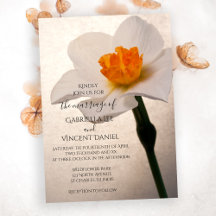 White Spring Daffodil Wedding