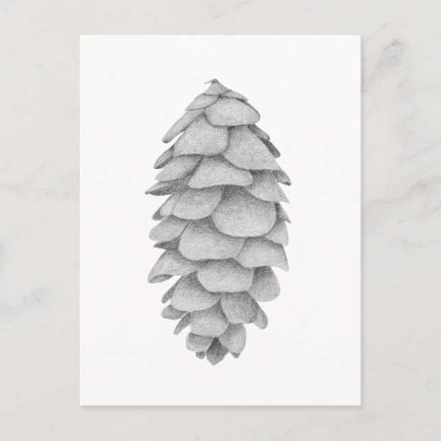 White Spruce Cone - Feiertag nach Karte (Vorderseite)