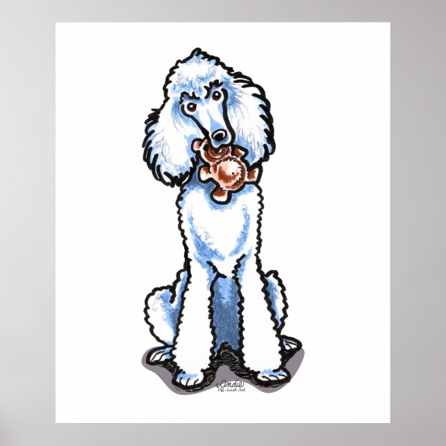 White Standard Poodle Teddy Bear Poster (Vorne)