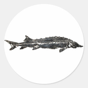 White Sturgeon Gyotaku-40-Item Runder Aufkleber