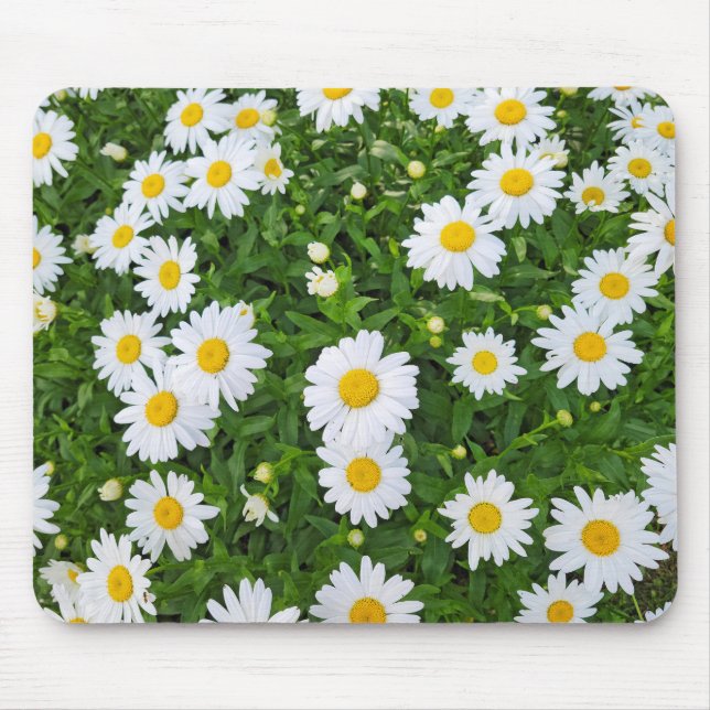 White Summer Daisy Garden Mousepad (Vorne)
