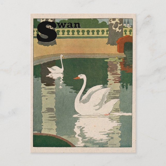 White Swan Alphabet Postkarte (Vorderseite)