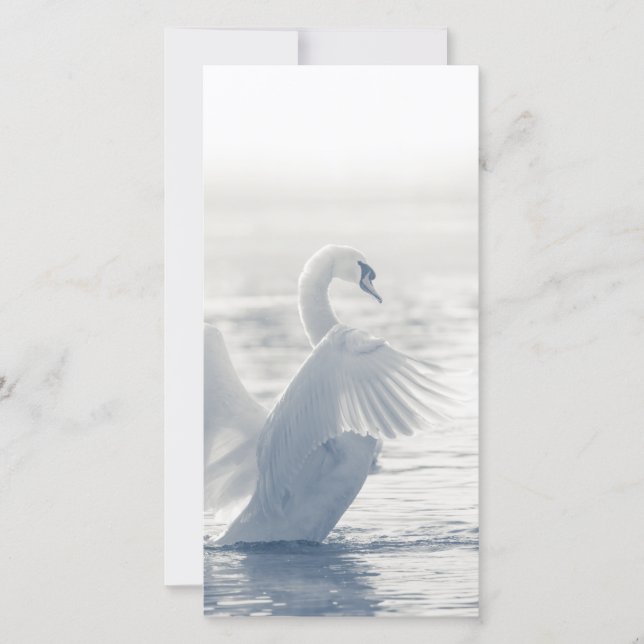 White Swan Card (Vorderseite)