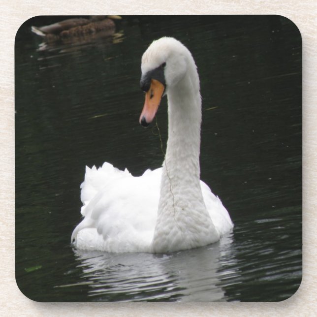 White Swan Cork Untersetzer (Vorderseite)