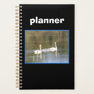 White Swan Family Planer