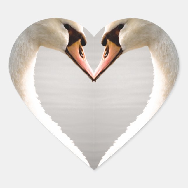 White Swan Heart Herz-Aufkleber (Vorderseite)