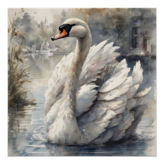 White Swan no 16 Glossy Poster