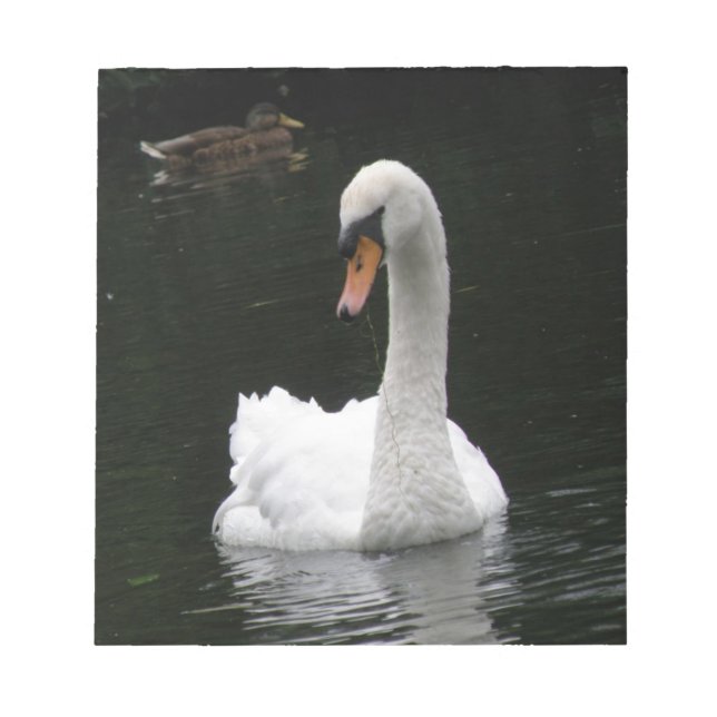 White Swan Notepad Notizblock (Vorderseite)