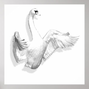 White Swan - Poster