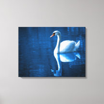 White Swan Schwimmen in einem Lago Canvas Print