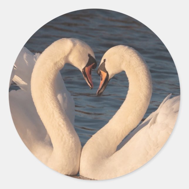 White Swans Rouge Sticker (Vorderseite)