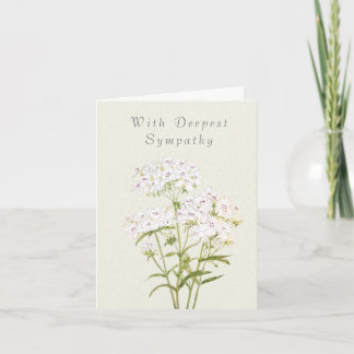 White Sweet William Thinking You Sympathy Card Karte