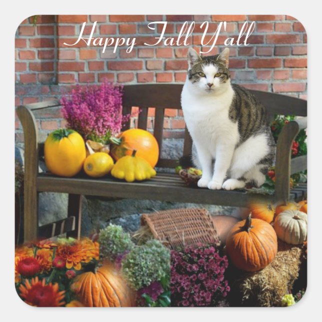 White Tabby Cat Fall Saison / Happy Fall Y'all Quadratischer Aufkleber (Vorderseite)