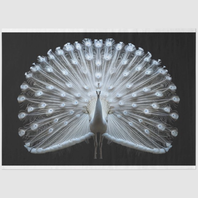 White Tail Peacock Decoupage Seidenpapier (Vorderseite)