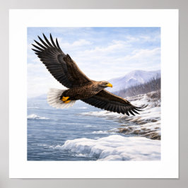 White-tailed Eagle (Haliaeetus albicilla) – Poster