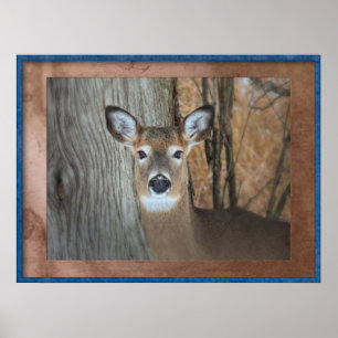 White Tails Death Caught Staring Poster
