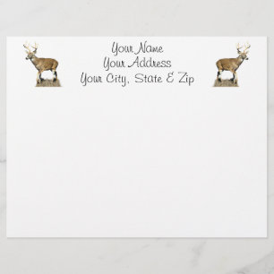 White Tails Deer Buck