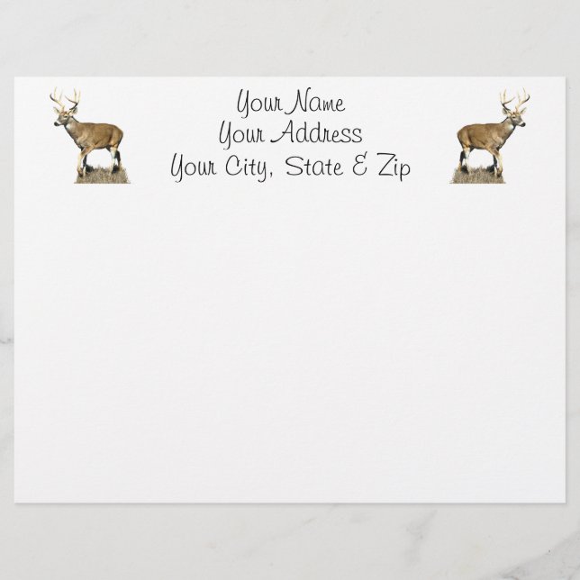 White Tails Deer Buck (Vorderseite)