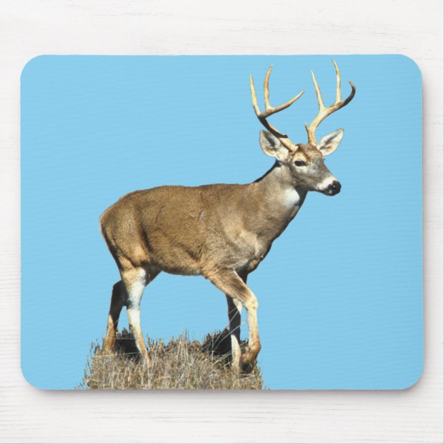 White Tails Deer Buck Mousepad (Vorne)