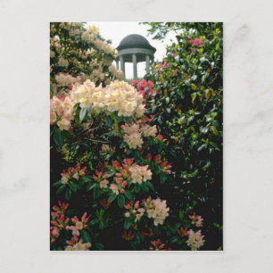White Tempel unter Blume - Kew Gardens, England Postkarte